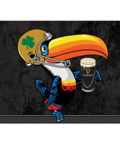 Guinness Football Toucan Canvas Art